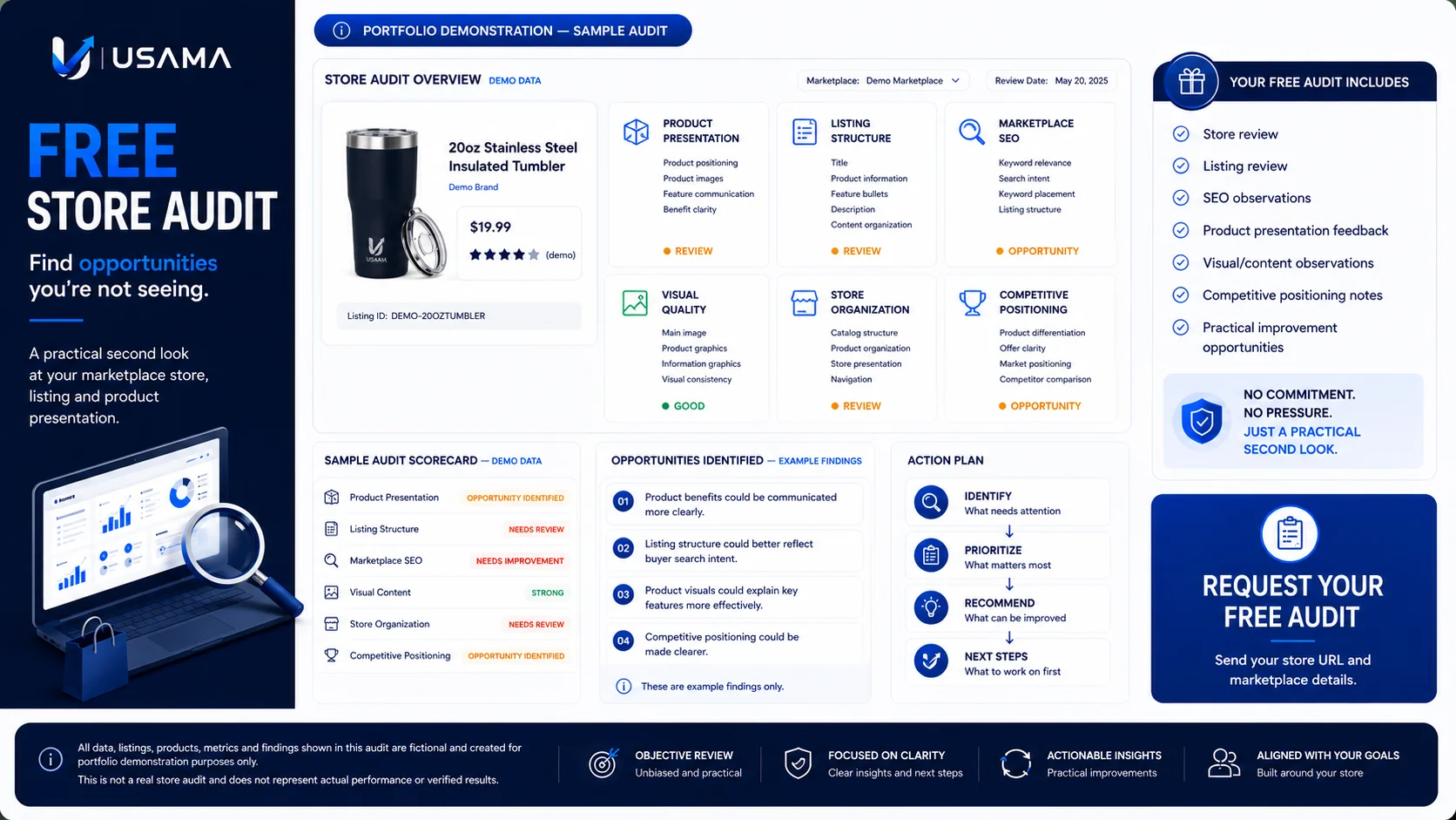 Store Audit portfolio visual